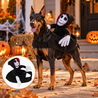 Goblin Rider Dog Costume