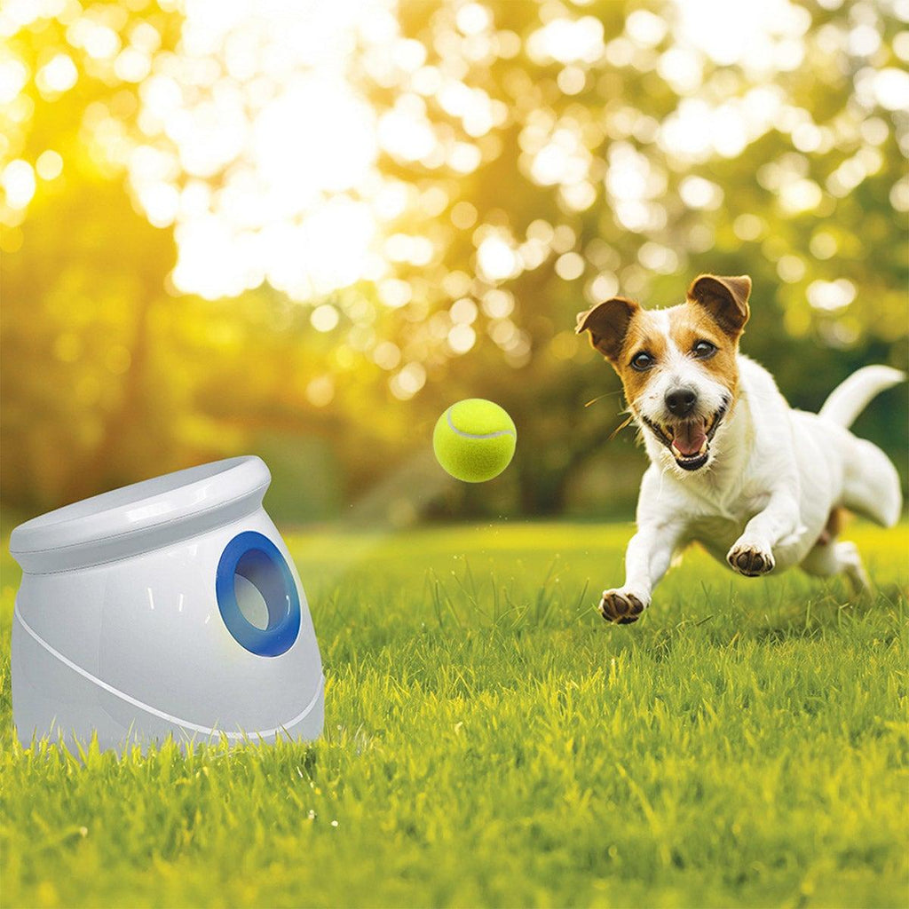 Automatic Dog Ball Launcher